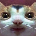 tluckett98's Avatar'