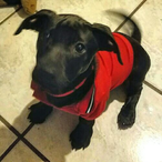 A_Deadpool's Avatar'