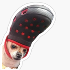 Archie_3434's Avatar'