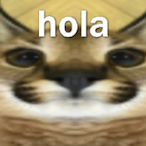 Phox_.'s Avatar'