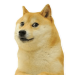 oozin ussie's Avatar'