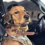 Ghost_Clubs7's Avatar'