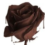 shokilicious's Avatar