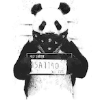Darkemoo.TDT's Avatar'