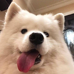 jiangshuixing's Avatar'