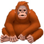 Dodo172Dodo's Avatar'