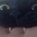 Ten2Five.Simba's Avatar'