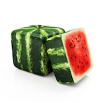 frty.watermelon's Avatar'