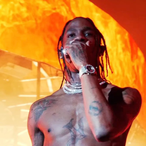 StrawHatWayne's Avatar'