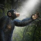 TexBala's Avatar'