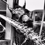 yuudachi74's Avatar'