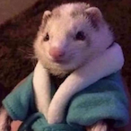 FellisJwevs's Avatar'