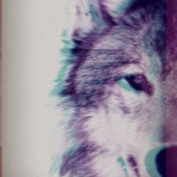 wight_wolf1288