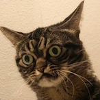 GATTOULIS's Avatar'