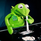 Elite_hax_bro's Avatar'