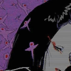 BBneko.'s Avatar'