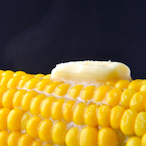 SpottyFeline603's Avatar'