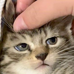 CODY20201's Avatar'