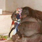 Scarecrow--43's Avatar'