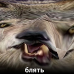 WildySpell's Avatar'