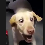 Garrett04122006's Avatar'