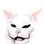 runnypoo45's Avatar'