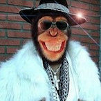 PimpinPlaya's Avatar'