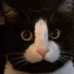 PeeAengVoyy's Avatar'