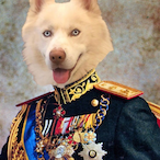 Amirlonewolf's Avatar'