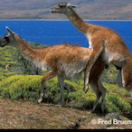 blackmagic2220's Avatar'