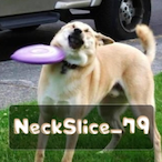 NeckSlice_79's Avatar'