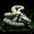 AZ33M_AL1_786's Avatar'