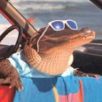 R_U_mad.bro's Avatar'