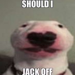 AlbanerAusGhana's Avatar'