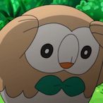 CrunchyBees's Avatar'