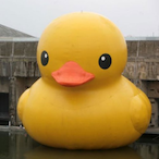 AndreasTheDucky's Avatar'