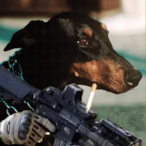 ILoveEloTrapping's Avatar'