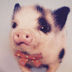 CorneliusCoconu's Avatar'