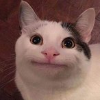 ImPrettyGirl.-'s Avatar'