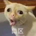 insta-xjveex's Avatar'
