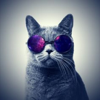 hun1056454's Avatar'