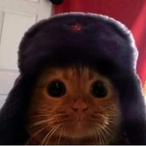 Biurko0z's Avatar'