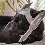 Thorpaw's Avatar'