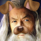 DogGandalf's Avatar'