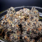 ThatSTANKDANK69's Avatar'