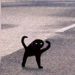 CamBroskis's Avatar'