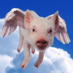 Sky_PiGG's Avatar'