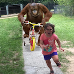 ride4child's Avatar'