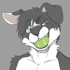 FL_SanPenguin's Avatar'