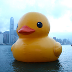 deactheduck's Avatar'